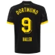 BVB Borussia Dortmund Jalkapallo Pelipaidat 2023-24 Haller #9 Vieraspaita Miesten