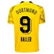 BVB Borussia Dortmund Jalkapallo Pelipaidat Haller #9 2023-24 Kolmaspaita Miesten