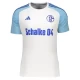 FC Schalke 04 Jalkapallo Pelipaidat 2023-24 Vieraspaita Miesten