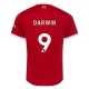 Liverpool FC Darwin #9 Jalkapallo Pelipaidat 2023-24 Kotipaita Miesten